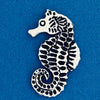 Seahorse/Magical Coin