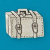 Suitcase/Explore Coin