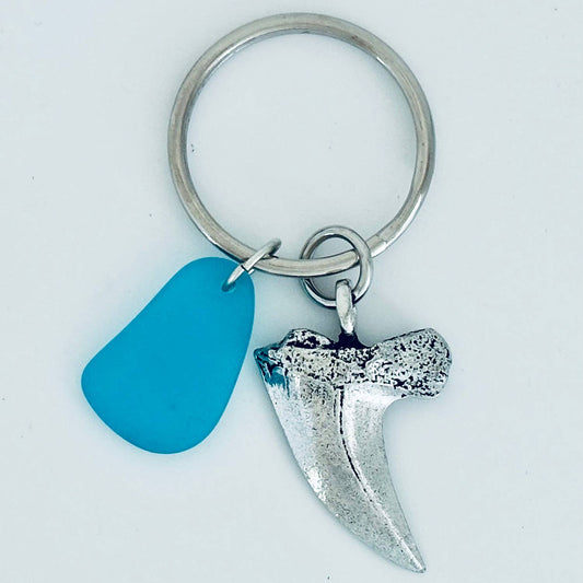 Shark Tooth Keychain w/Turq Seaglass