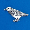 Raven/Wisdom Coin