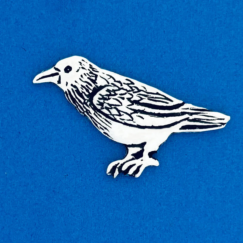 Raven/Wisdom Coin