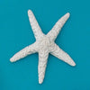 Large Starfish 4.5"