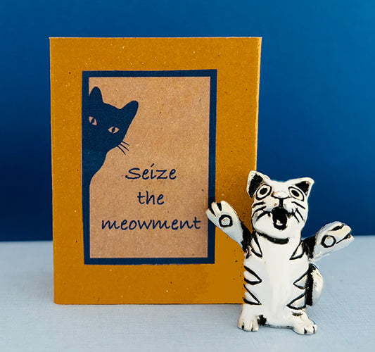 Seize the meowment! Matchbox Messages