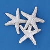 Med. Starfish 2"