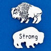 Buffalo/Strong Coin