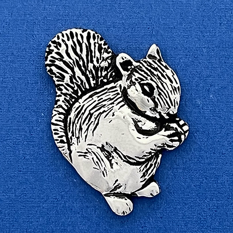Squirrel Go Nuts Coin 