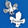 Eagle Freedom Coin 