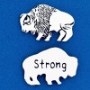 Buffalo Strong Coin 