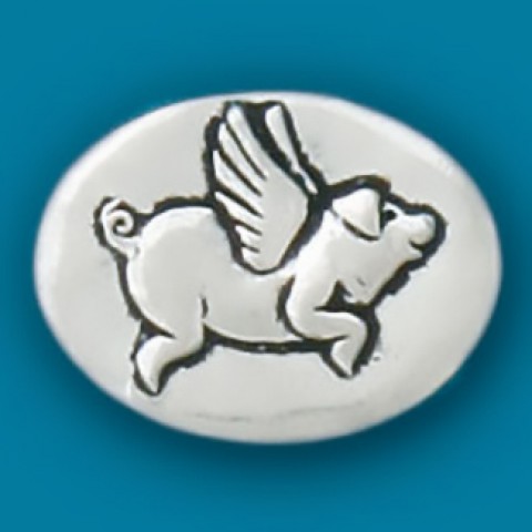 Flying Pig / Anything is Possible Coin