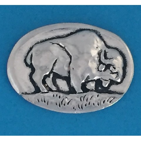 Buffalo/Freedom Coin