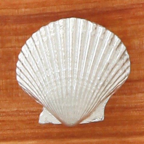 Shell Knob