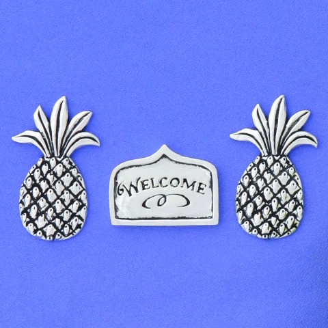 Pineapple Welcome Med. Magnet Set (Boxed)