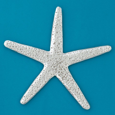 Star Fish Trivet