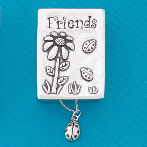 Friends / Ladybug Wish Box w / Ladybug Necklace