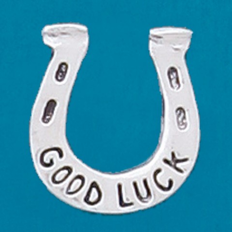 Horseshoe / Good Luck Coin