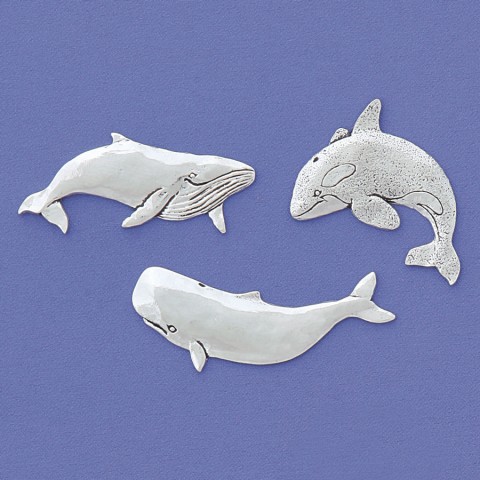 Whales Med. Magnet Set
