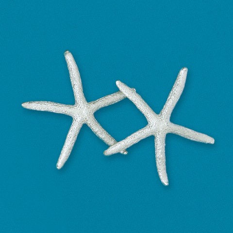 Thin Starfish