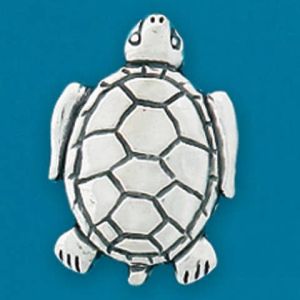 Turtle/Patience Coin