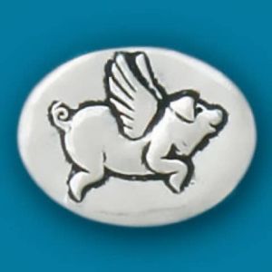 Flying Pig/Anything's Possible Coin