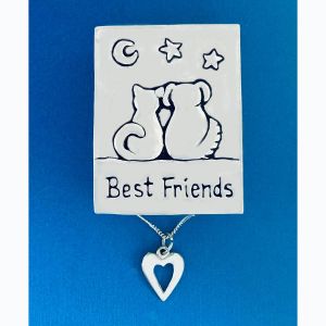Best Friends Wish Box w/necklace