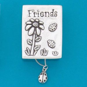 Friends/Ladybug Wish Box w/Ladybug Necklace