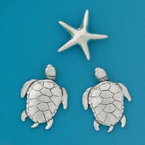 Sea Turtles Med. Magnet Set (BOXED)