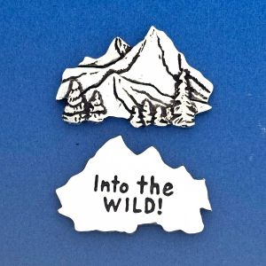 Mountains/Into the Wild Coin