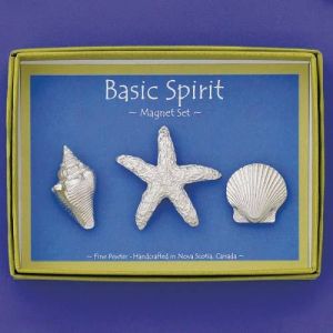 Shells Med. Magnet Set (BOXED)