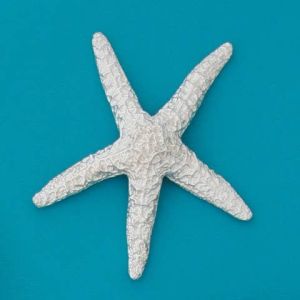 Large Starfish 4.5"