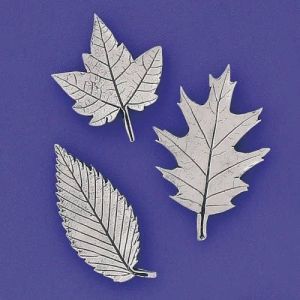 Leaves Med. Magnet Set (BOXED)