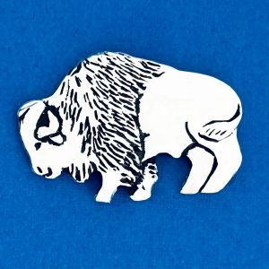 Buffalo/Strong Coin