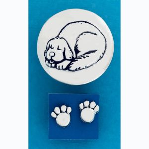 Dog Tiny Box w/stud earrings